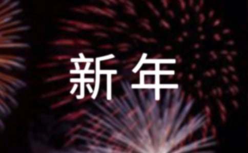 新年的优秀日记200字
